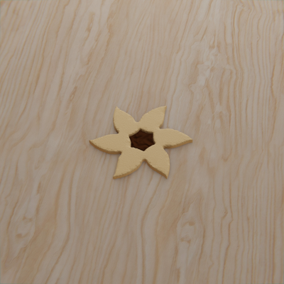 Fiore 2